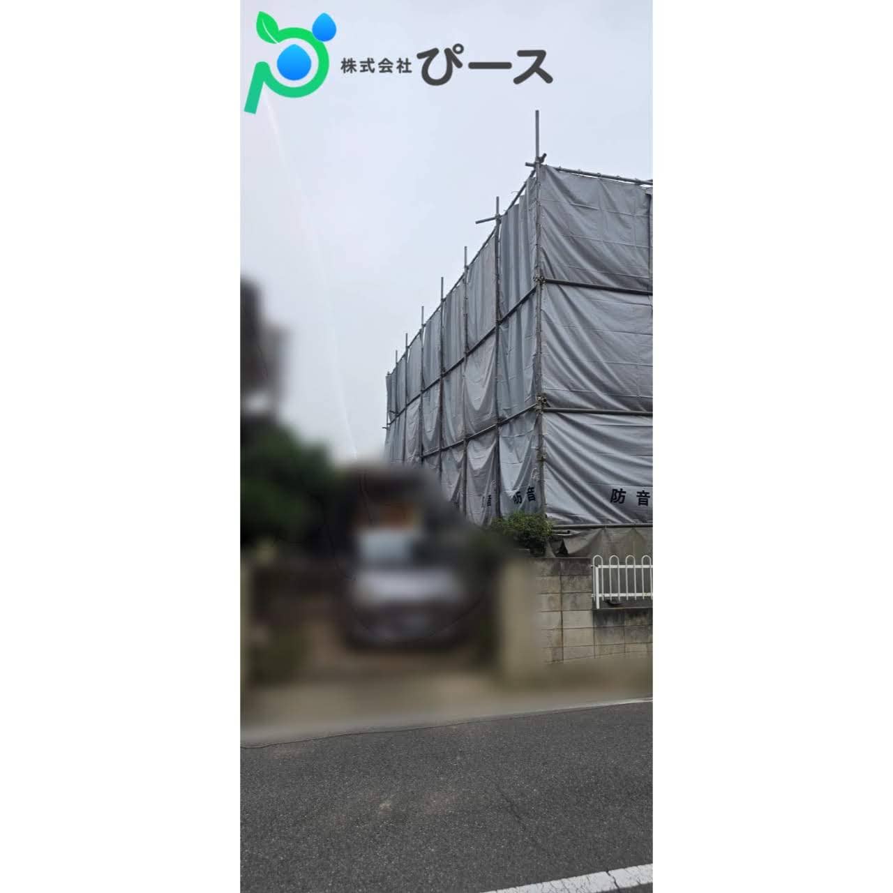 養生